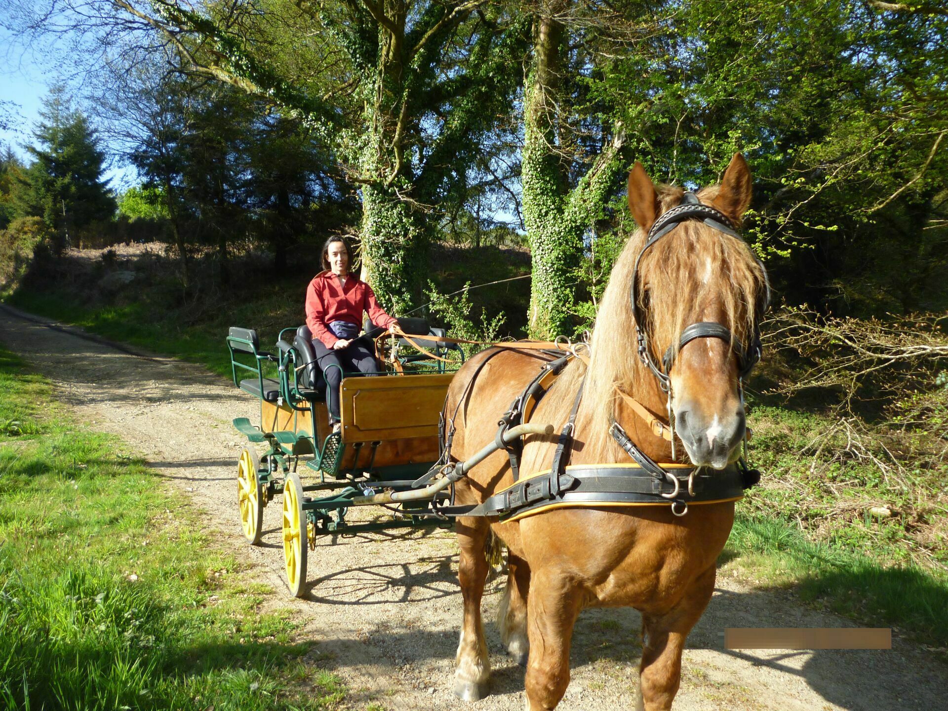 Fouette cocher ! au Domaine de Trévarez