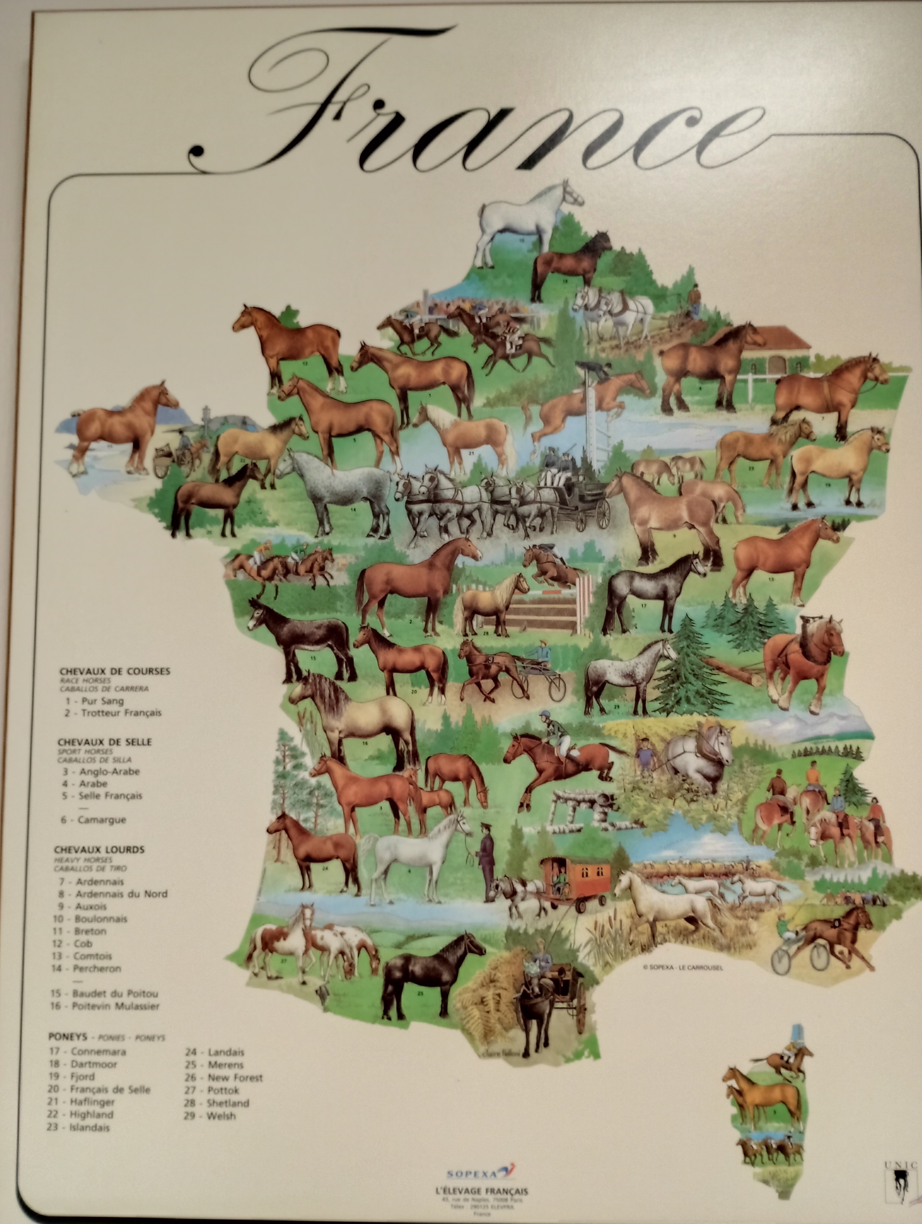 Rencontre autour du cheval en France et du rôle des haras nationaux