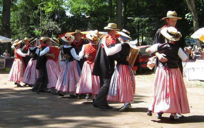 Musique traditionnelle, café occitan et repas gascon