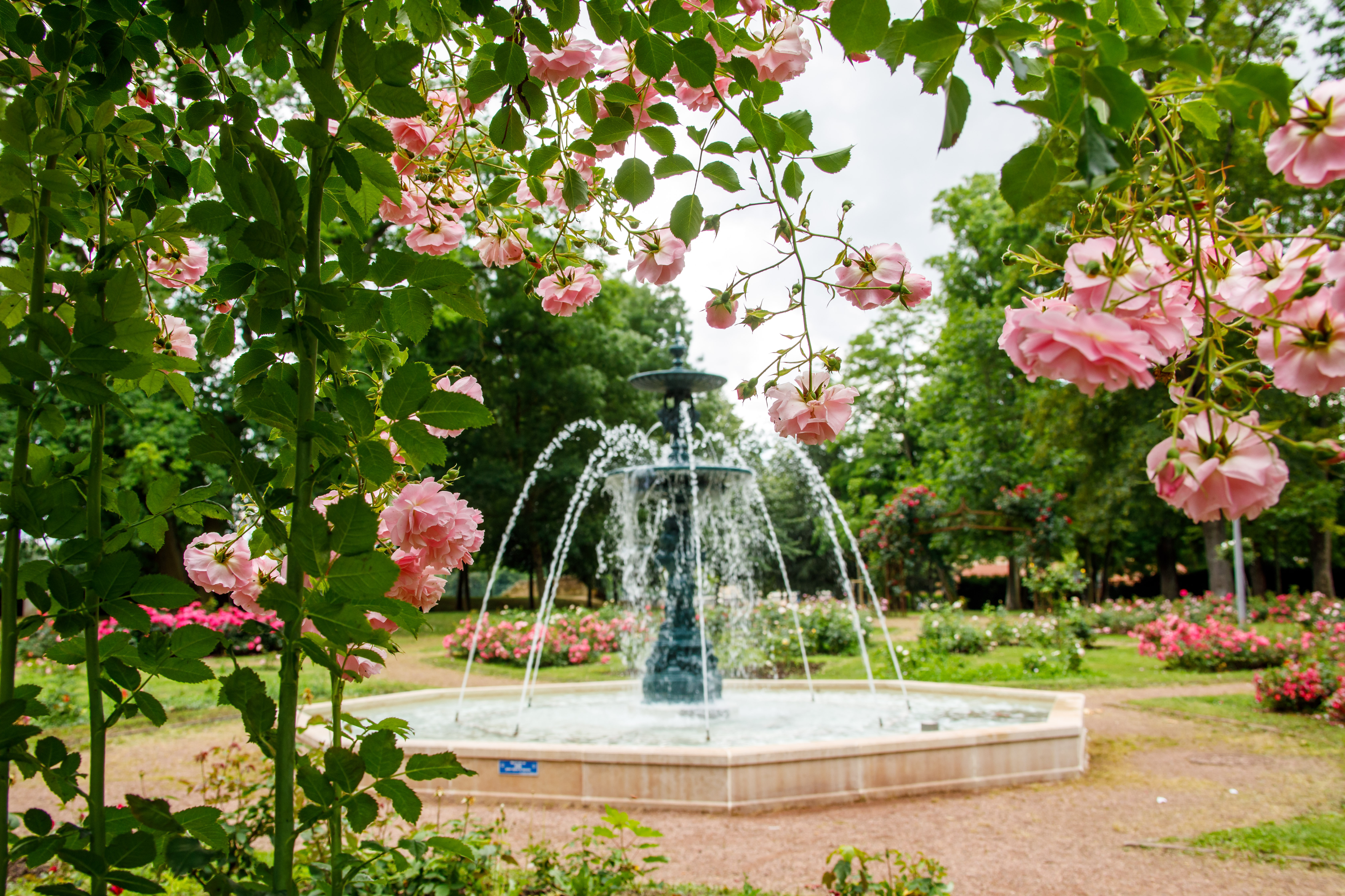 Participez à une balade "Thionville au naturel" Le 21 sept 2024